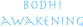 bodhi
awakening