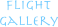 flight
gallery